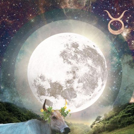 Full Moon in Taurus